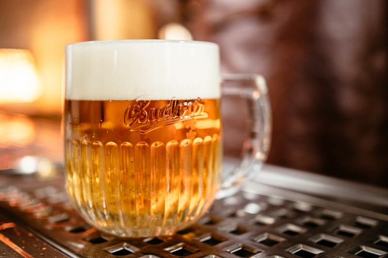 Budvar k uvodu